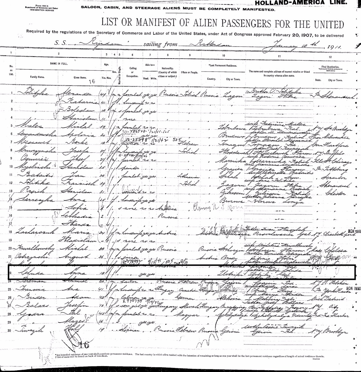 Ellis Island Immigration Log